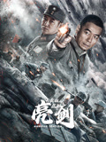 亮剑之英雄虎胆海报